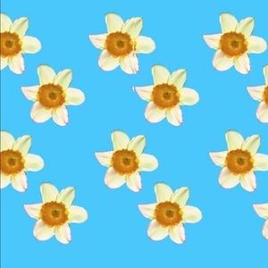 Meet your Posher, Andre